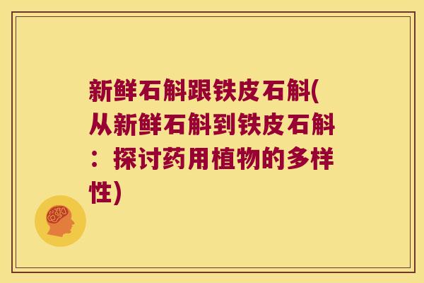 新鲜石斛跟铁皮石斛(从新鲜石斛到铁皮石斛：探讨药用植物的多样性)