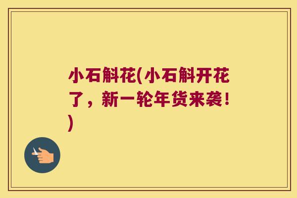 小石斛花(小石斛开花了，新一轮年货来袭！)