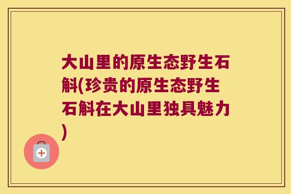大山里的原生态野生石斛(珍贵的原生态野生石斛在大山里独具魅力) 大山里的原生态野生石斛(珍贵的原生态野生石斛在大山里独具魅力)