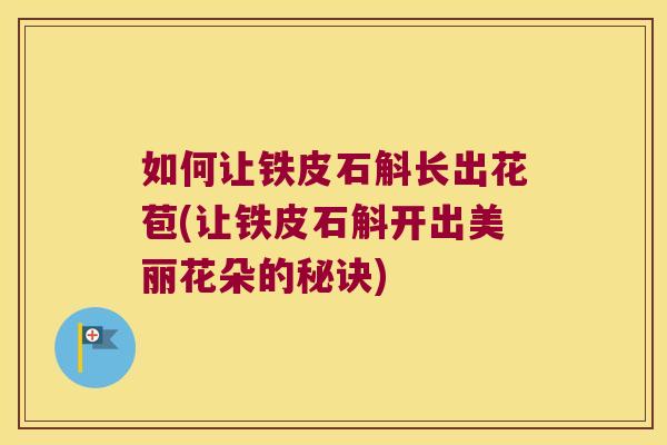 如何让铁皮石斛长出花苞(让铁皮石斛开出美丽花朵的秘诀)