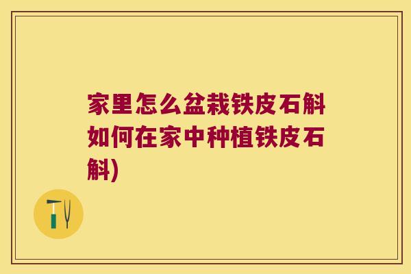 家里怎么盆栽铁皮石斛如何在家中种植铁皮石斛)