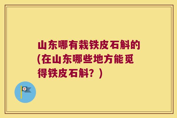 山东哪有栽铁皮石斛的(在山东哪些地方能觅得铁皮石斛？)