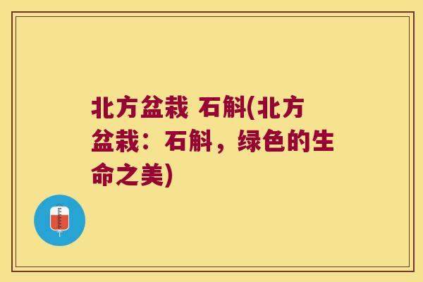 北方盆栽 石斛(北方盆栽：石斛，绿色的生命之美)