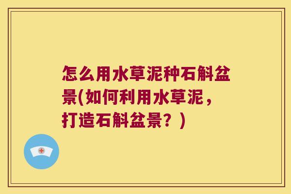 怎么用水草泥种石斛盆景(如何利用水草泥，打造石斛盆景？)
