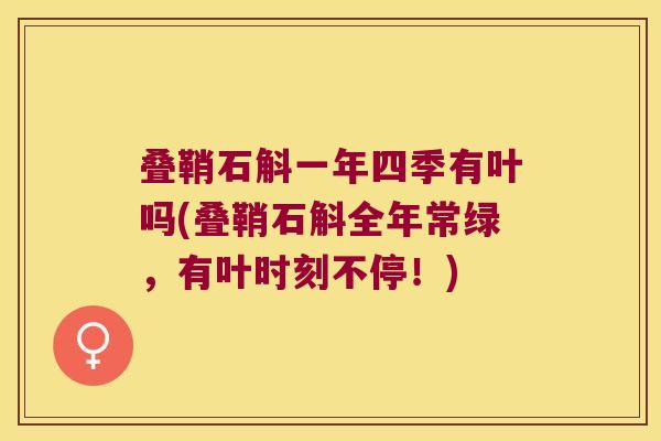 叠鞘石斛一年四季有叶吗(叠鞘石斛全年常绿，有叶时刻不停！)