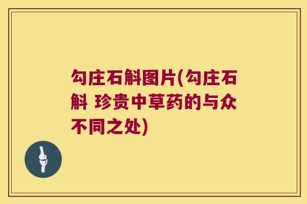 勾庄石斛图片(勾庄石斛 珍贵中草药的与众不同之处)