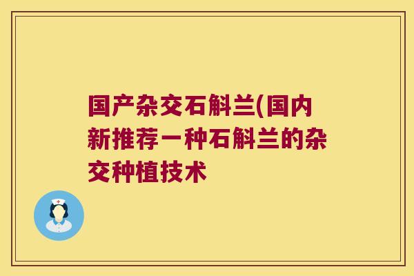 国产杂交石斛兰(国内新推荐一种石斛兰的杂交种植技术