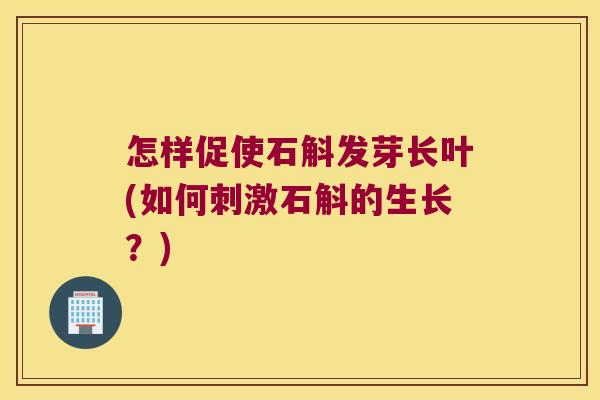 怎样促使石斛发芽长叶(如何刺激石斛的生长？)