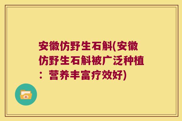 安徽仿野生石斛(安徽仿野生石斛被广泛种植:营养丰富疗效好) 安徽仿野生石斛(安徽仿野生石斛被广泛种植:营养丰富疗效好)