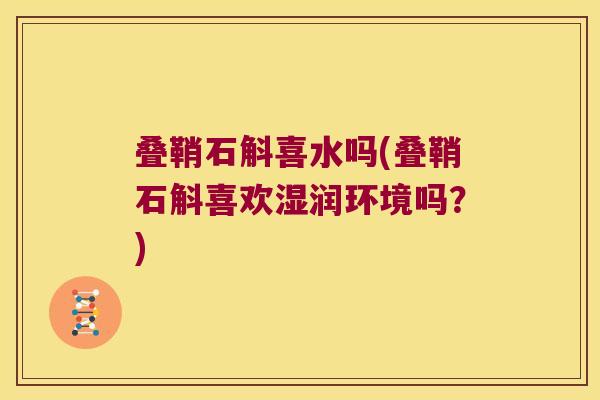 叠鞘石斛喜水吗(叠鞘石斛喜欢湿润环境吗?) 叠鞘石斛喜水吗(叠鞘石斛喜欢湿润环境吗?)