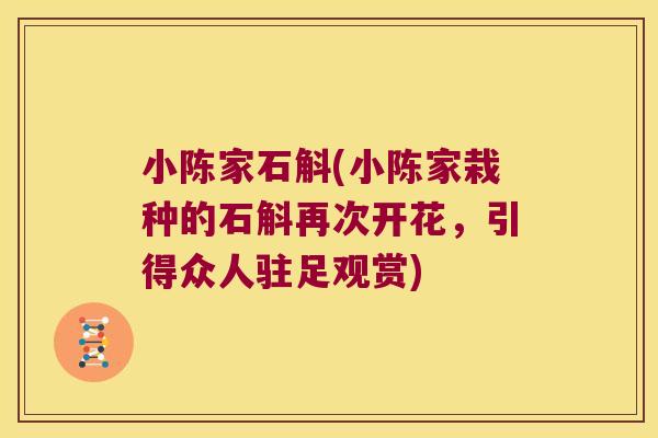 小陈家石斛(小陈家栽种的石斛再次开花，引得众人驻足观赏)