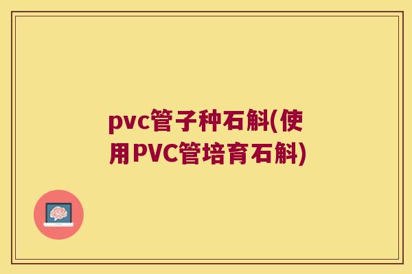 pvc管子种石斛(使用PVC管培育石斛)