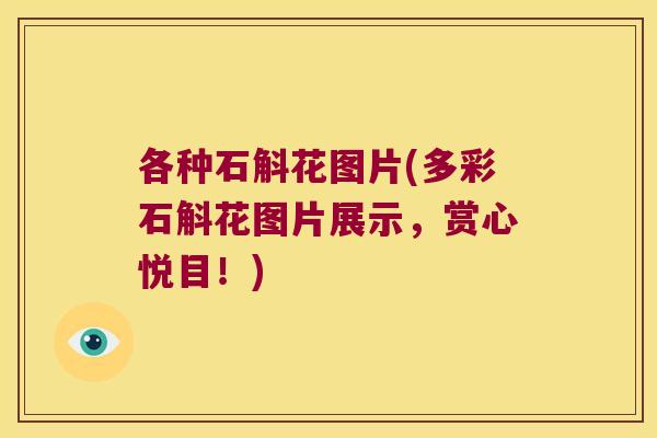 各种石斛花图片(多彩石斛花图片展示，赏心悦目！)