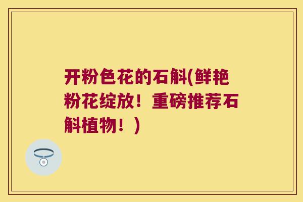 开粉色花的石斛(鲜艳粉花绽放！重磅推荐石斛植物！)