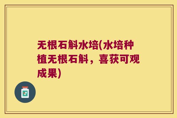 无根石斛水培(水培种植无根石斛,喜获可观成果) 无根石斛水培(水培种植无根石斛,喜获可观成果)