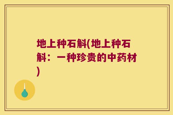 地上种石斛(地上种石斛：一种珍贵的中药材)