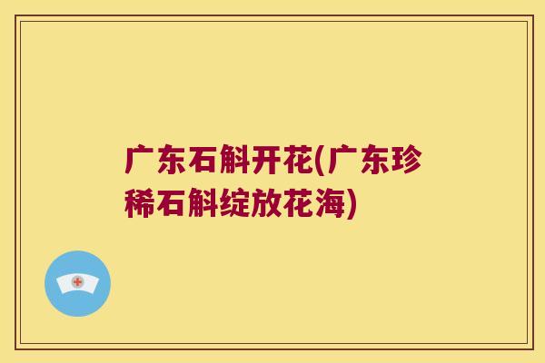 广东石斛开花(广东珍稀石斛绽放花海)