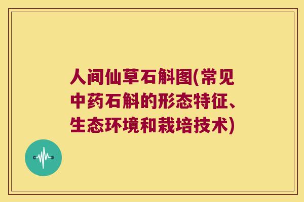 人间仙草石斛图(常见中药石斛的形态特征、生态环境和栽培技术)