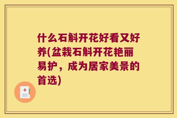 什么石斛开花好看又好养(盆栽石斛开花艳丽易护，成为居家美景的首选)