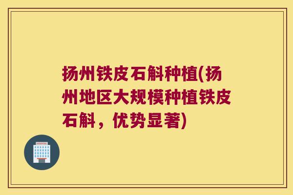 扬州铁皮石斛种植(扬州地区大规模种植铁皮石斛，优势显著)