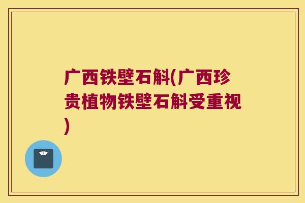 广西铁壁石斛(广西珍贵植物铁壁石斛受重视)