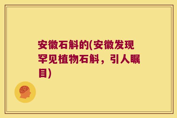 安徽石斛的(安徽发现罕见植物石斛，引人瞩目)