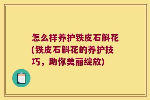 怎么样养护铁皮石斛花(铁皮石斛花的养护技巧，助你美丽绽放)