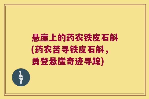 悬崖上的药农铁皮石斛(药农苦寻铁皮石斛，勇登悬崖奇迹寻踪)