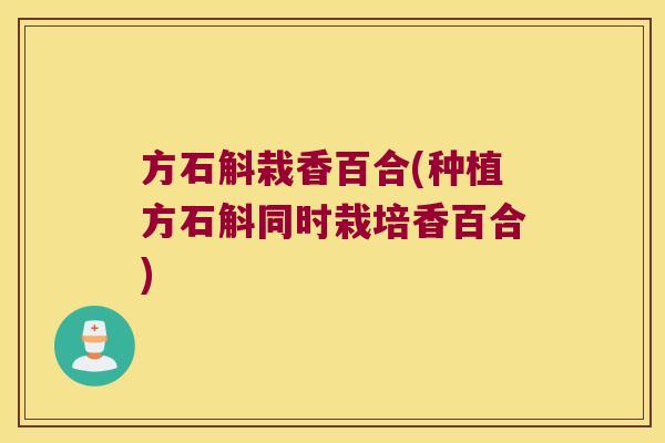 方石斛栽香百合(种植方石斛同时栽培香百合)