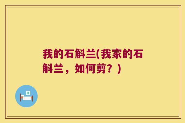 我的石斛兰(我家的石斛兰，如何剪？)