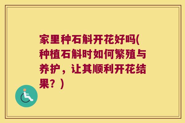 家里种石斛开花好吗(种植石斛时如何繁殖与养护，让其顺利开花结果？)