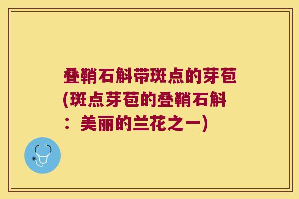 叠鞘石斛带斑点的芽苞(斑点芽苞的叠鞘石斛：美丽的兰花之一)