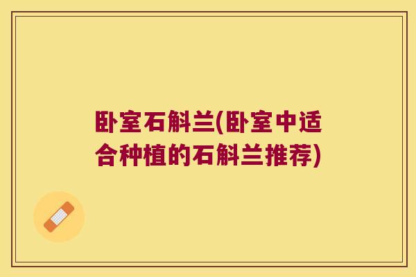 卧室石斛兰(卧室中适合种植的石斛兰推荐)