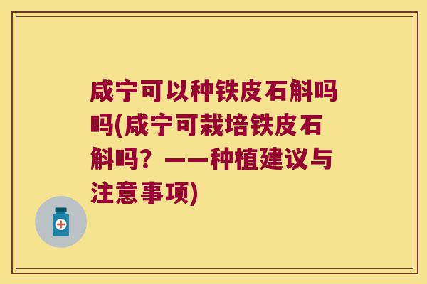 咸宁可以种铁皮石斛吗吗(咸宁可栽培铁皮石斛吗？——种植建议与注意事项)