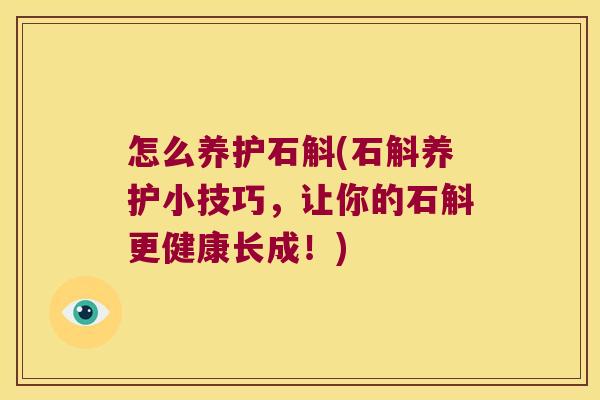怎么养护石斛(石斛养护小技巧，让你的石斛更健康长成！)