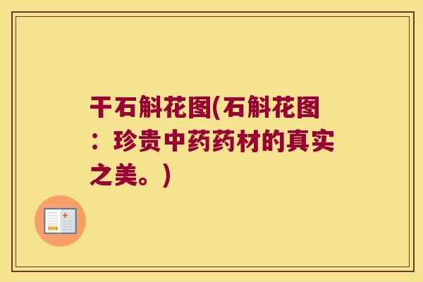 干石斛花图(石斛花图：珍贵药材的真实之美。)