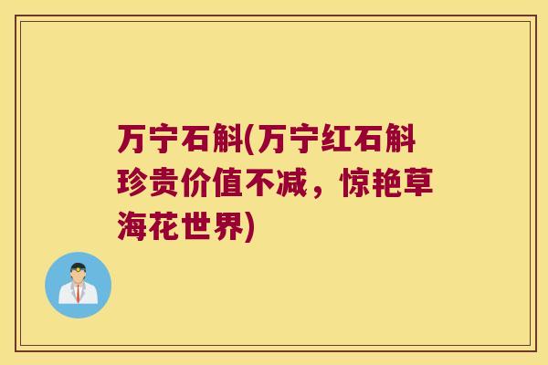万宁石斛(万宁红石斛珍贵价值不减，惊艳草海花世界)
