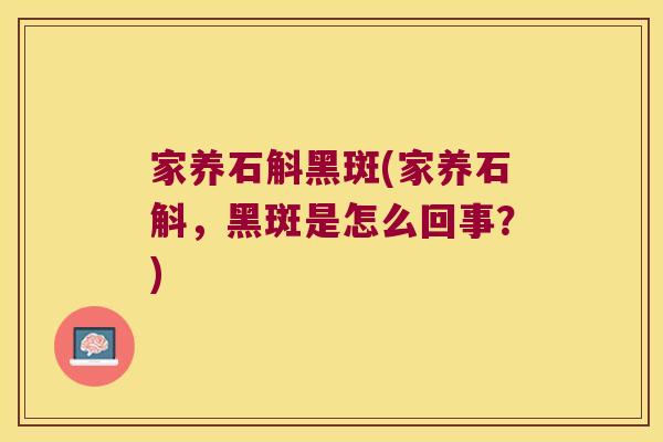 家养石斛黑斑(家养石斛，黑斑是怎么回事？)