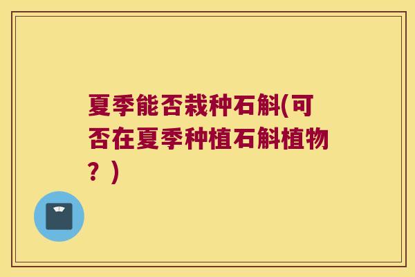 夏季能否栽种石斛(可否在夏季种植石斛植物？)