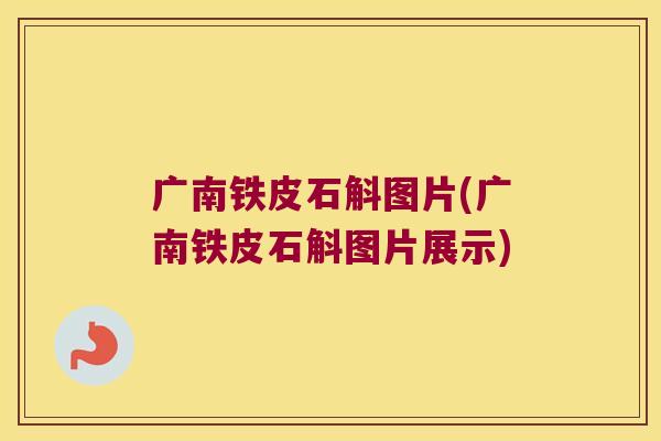 广南铁皮石斛图片(广南铁皮石斛图片展示)