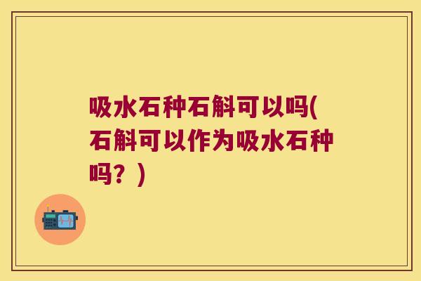 吸水石种石斛可以吗(石斛可以作为吸水石种吗？)