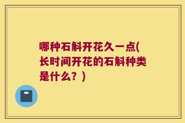 哪种石斛开花久一点(长时间开花的石斛种类是什么？)