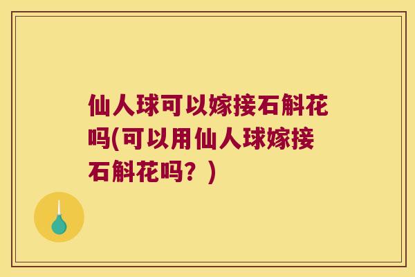 仙人球可以嫁接石斛花吗(可以用仙人球嫁接石斛花吗？)