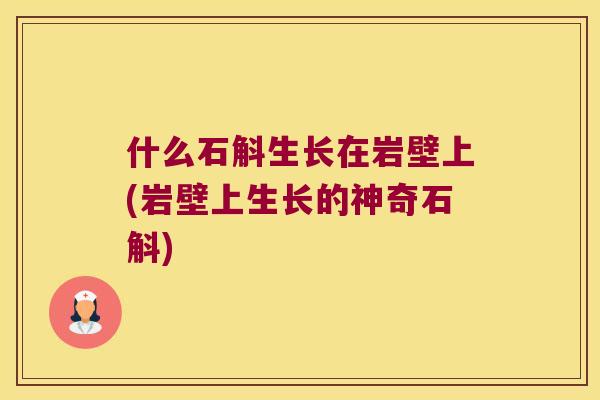 什么石斛生长在岩壁上(岩壁上生长的神奇石斛)