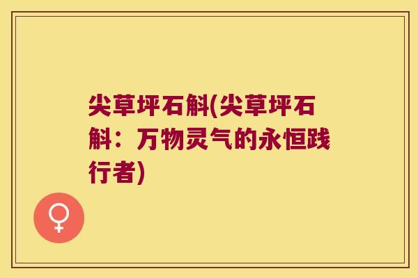 尖草坪石斛(尖草坪石斛：万物灵气的永恒践行者)