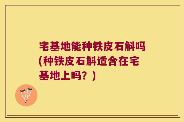 宅基地能种铁皮石斛吗(种铁皮石斛适合在宅基地上吗？)