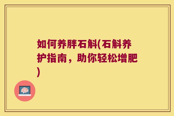 如何养胖石斛(石斛养护指南，助你轻松增肥)