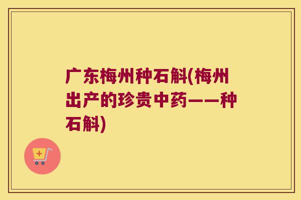 广东梅州种石斛(梅州出产的珍贵——种石斛)