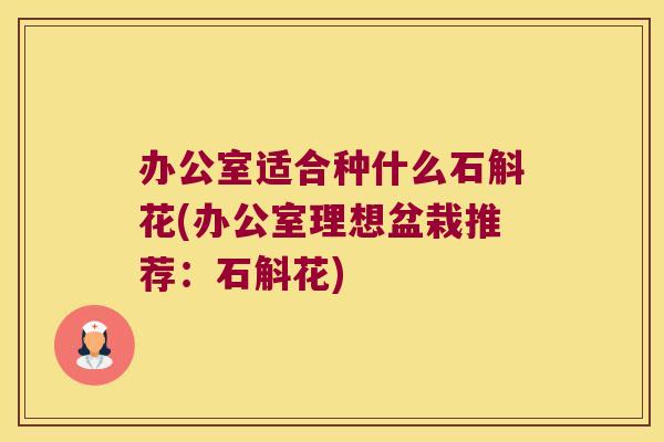 办公室适合种什么石斛花(办公室理想盆栽推荐：石斛花)