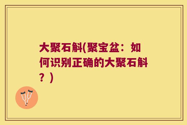 大聚石斛(聚宝盆：如何识别正确的大聚石斛？)